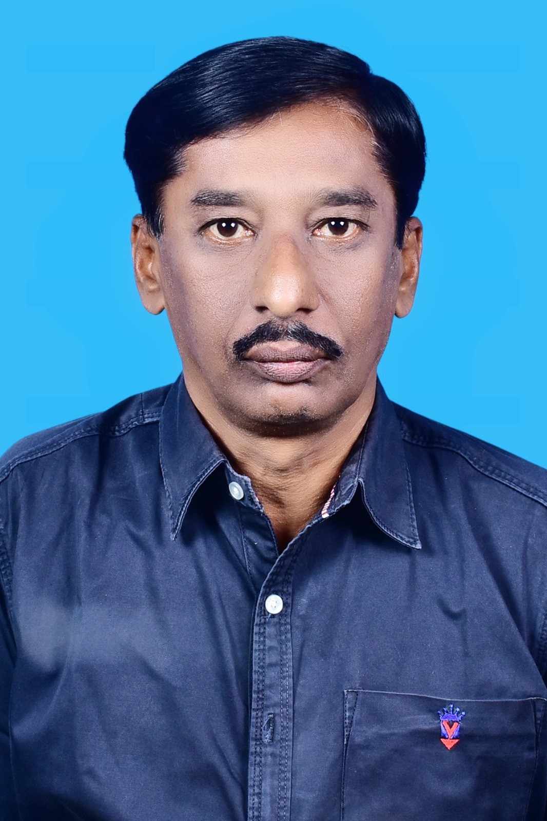 S VIJAYASEKAR